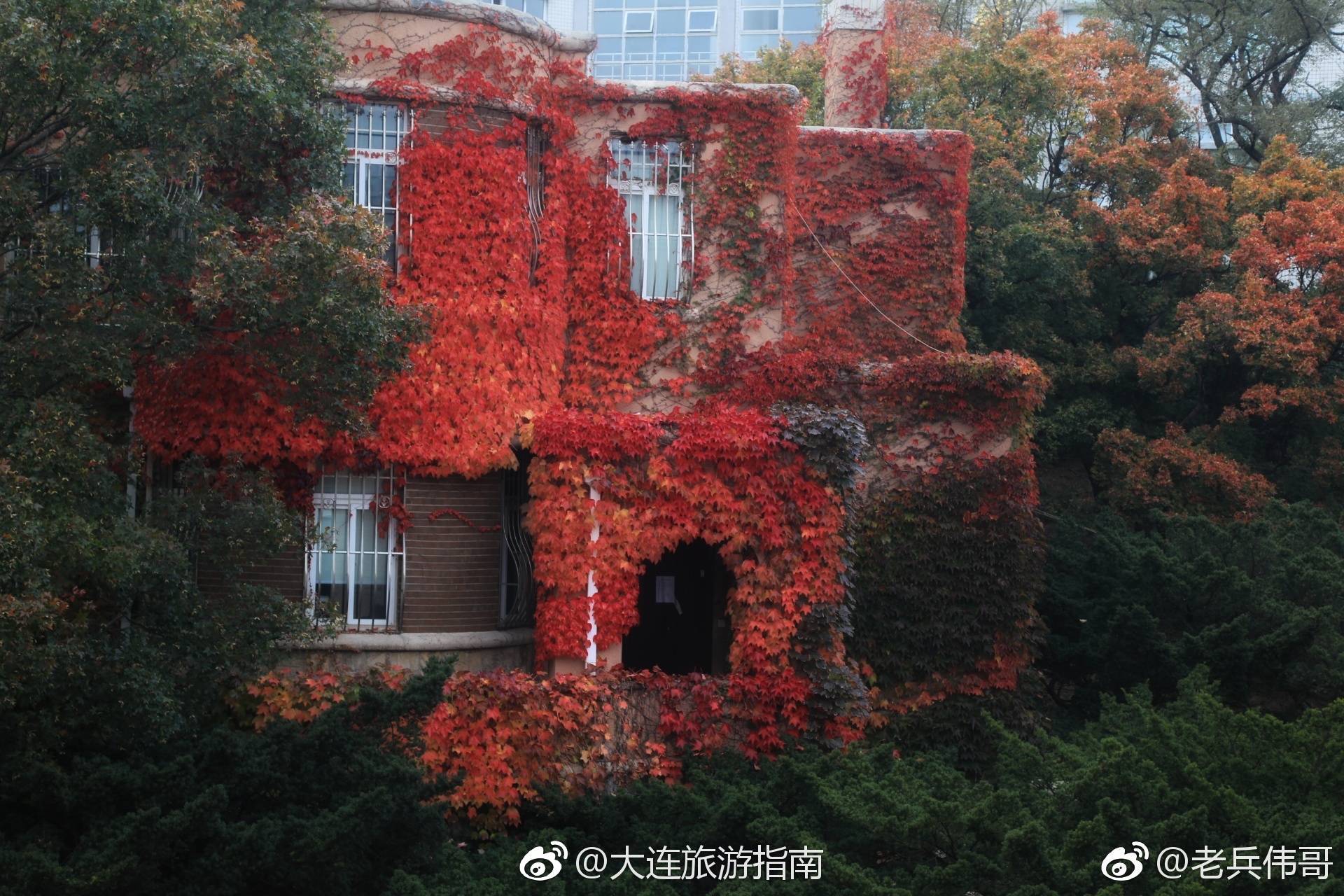 遇见大连一栋红房子