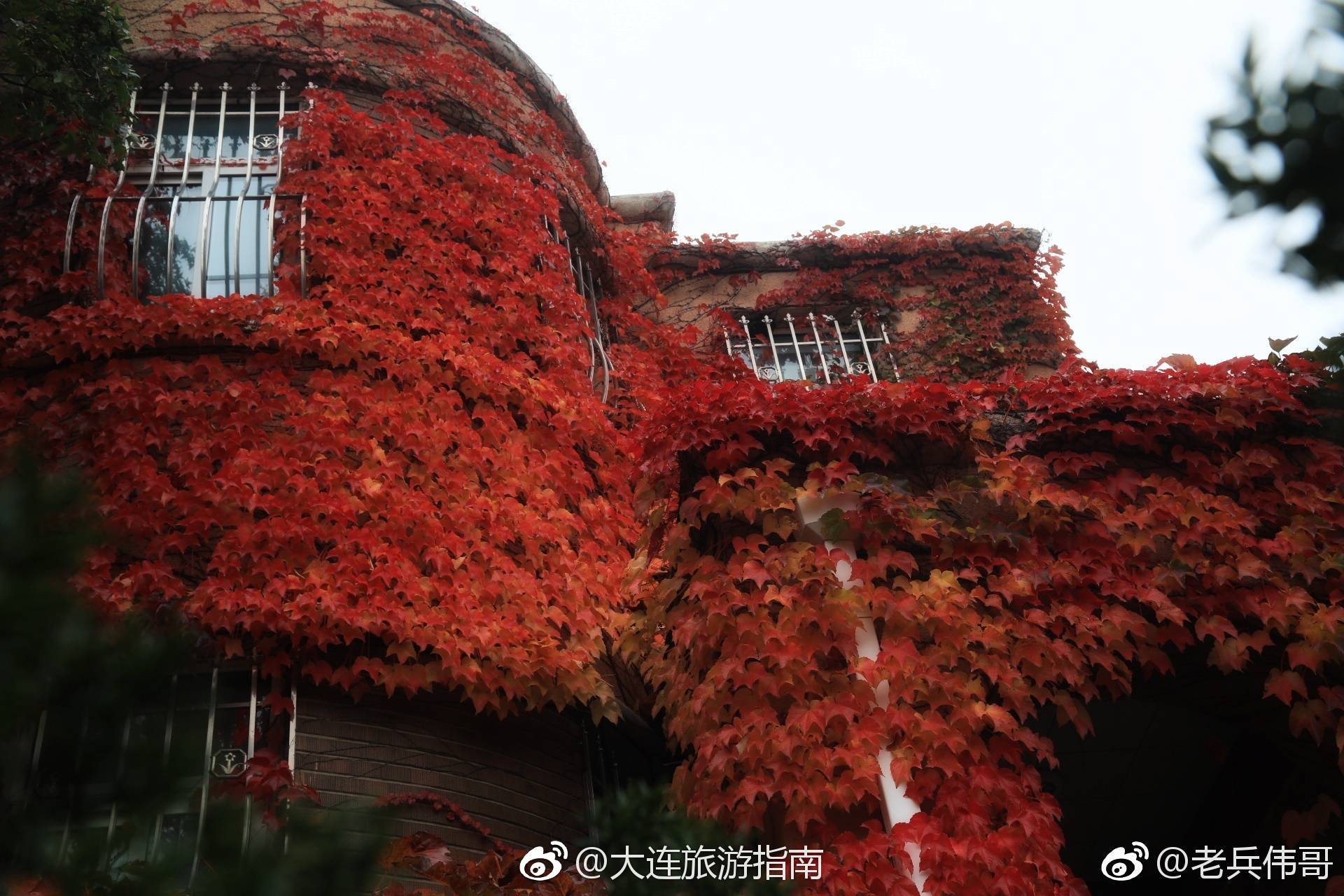 遇见大连一栋红房子