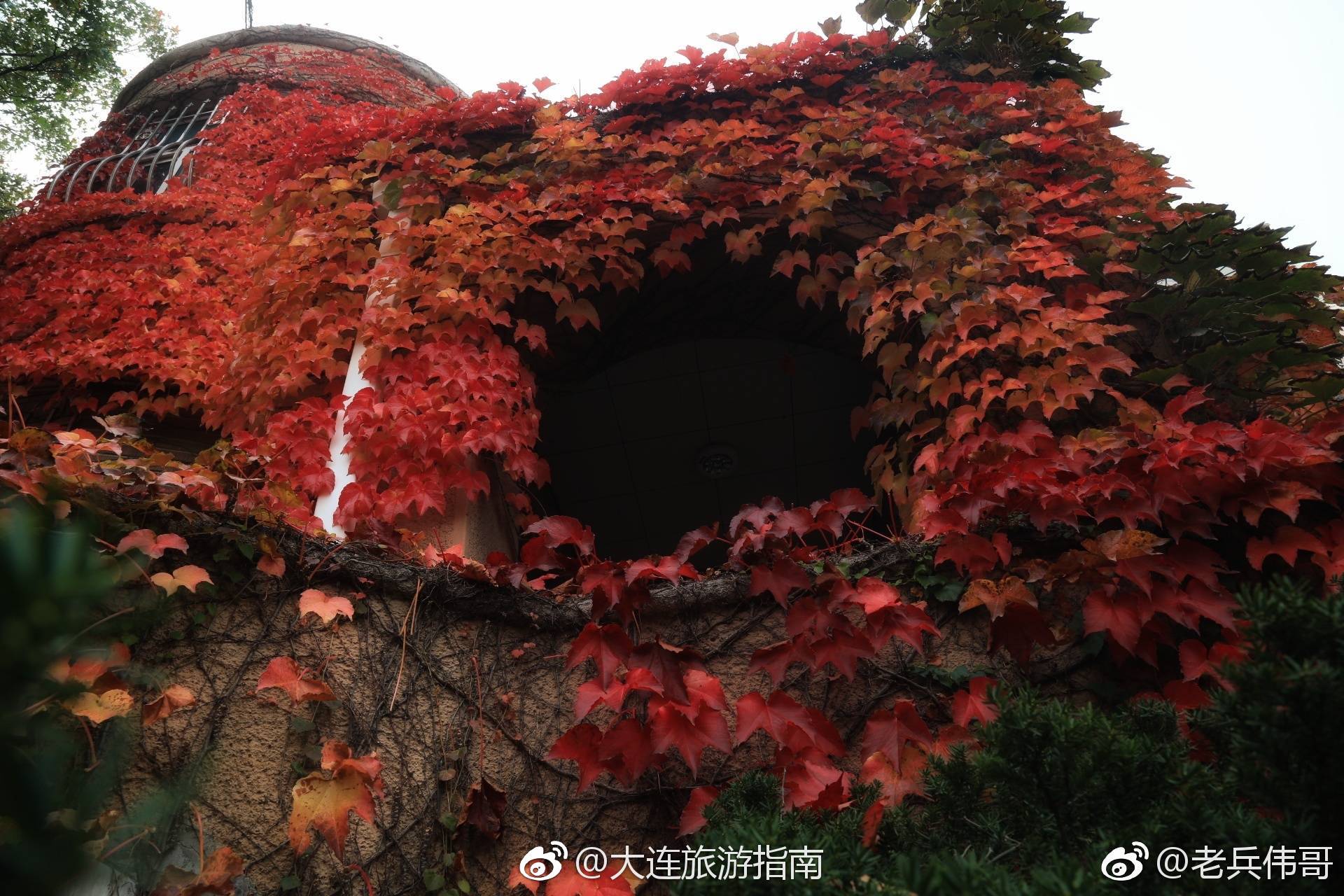 遇见大连一栋红房子