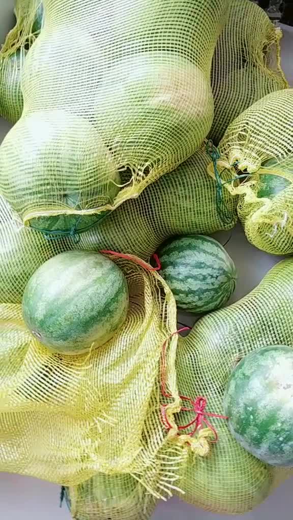 东北来的打瓜,口感清甜汁水充沛,家人围着吃其乐融融