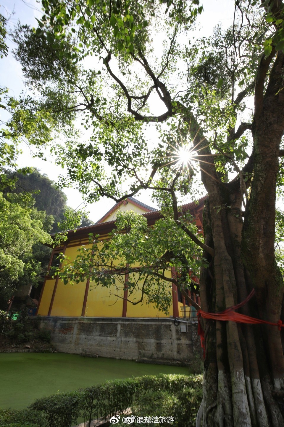 藏在岩洞里的千年古寺贵港南山寺寺中有三百多年的菩提树