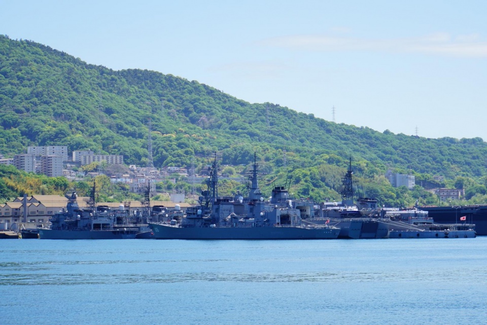 局座预言应验,优良军港被养殖网箱侵占,军方无能为力|吴港|网箱|军港