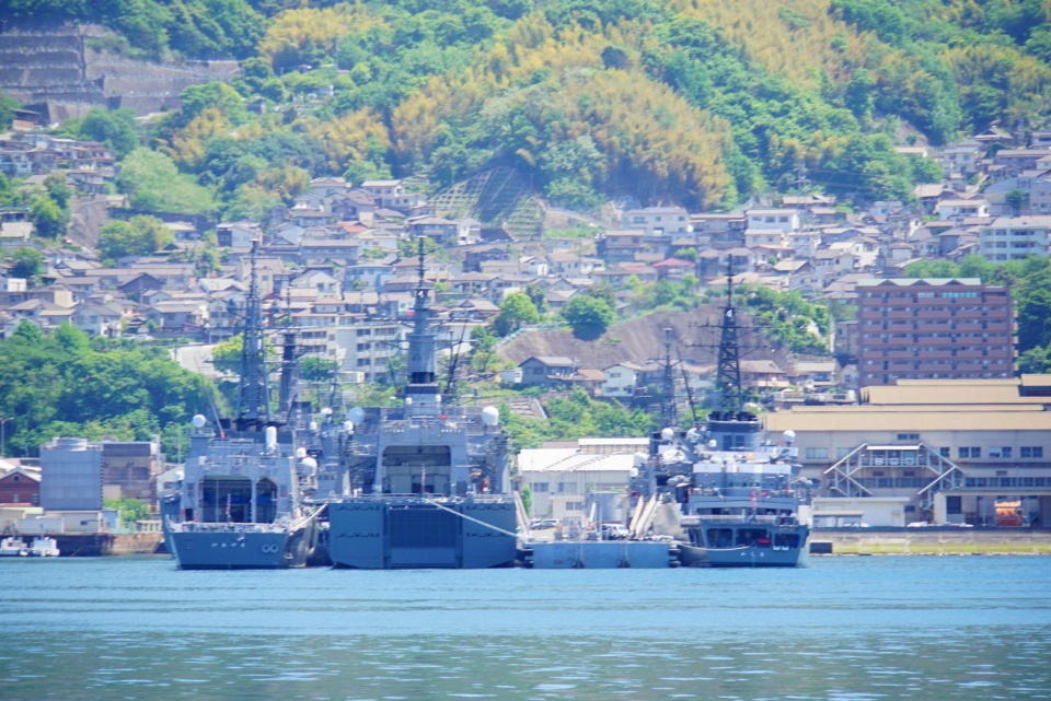 局座预言应验,优良军港被养殖网箱侵占,军方无能为力|吴港|网箱|军港