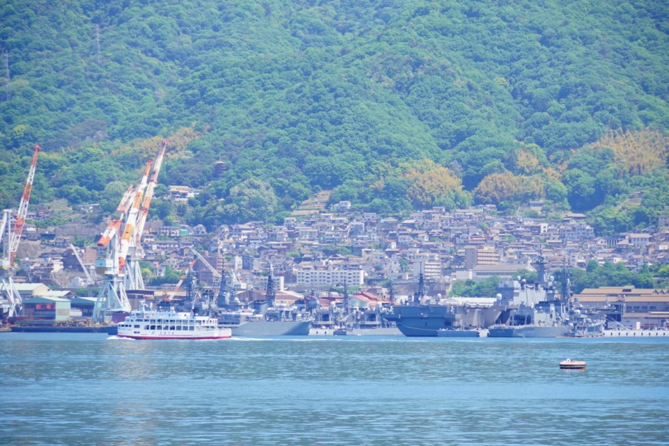 局座预言应验,优良军港被养殖网箱侵占,军方无能为力|吴港|网箱|军港