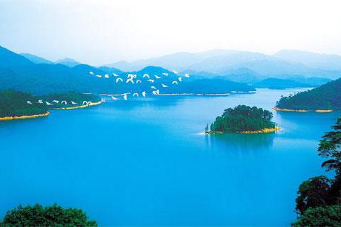 中山市各镇排名:南朗镇面积最大,小榄镇人口最