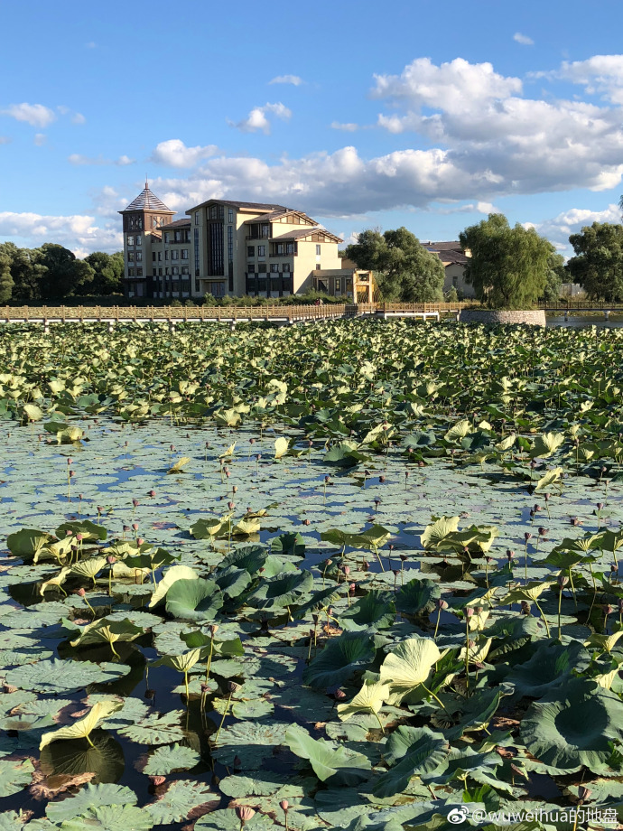 哈尔滨太平湖风光(@wuweihua的地盘 )