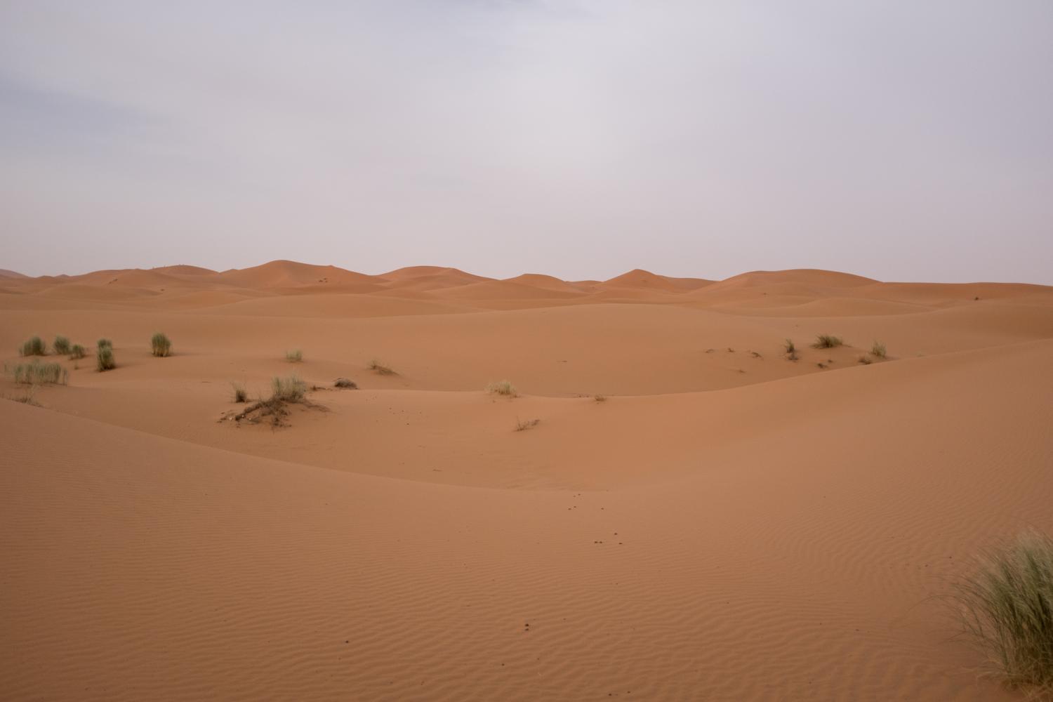 实拍北非摩洛哥的撒哈拉大沙漠原来大沙漠中也不全是沙