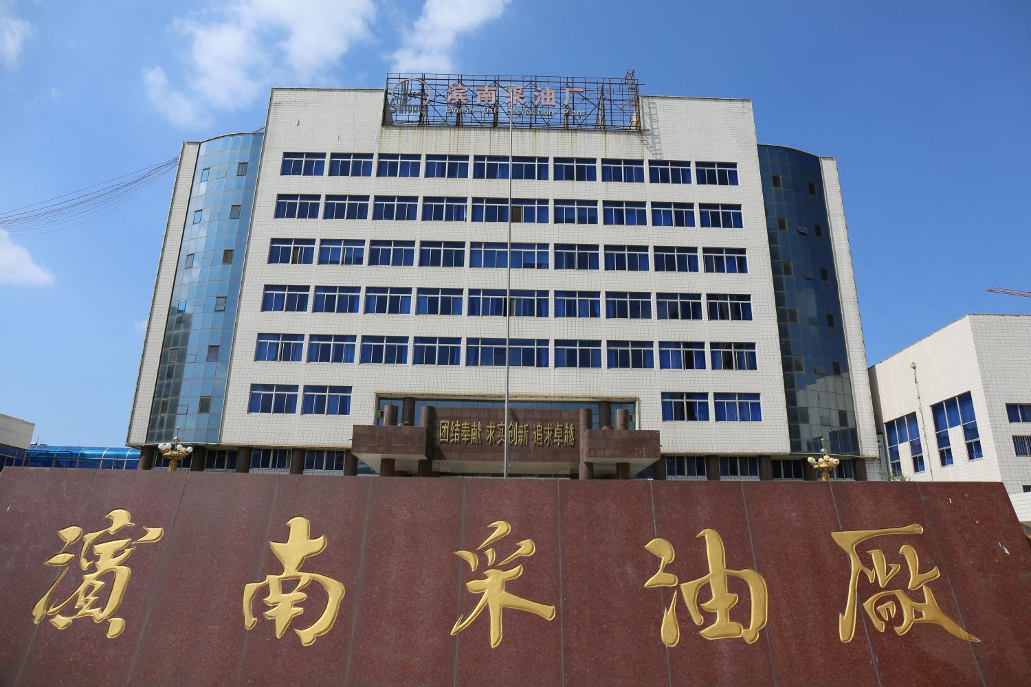 山东滨州 陆上采油平台 蓝天白云白鹭飞 井景共融 景色美