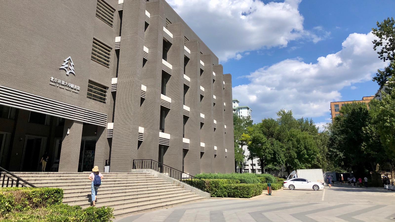 校园风光:北京林业大学之二,图书馆等