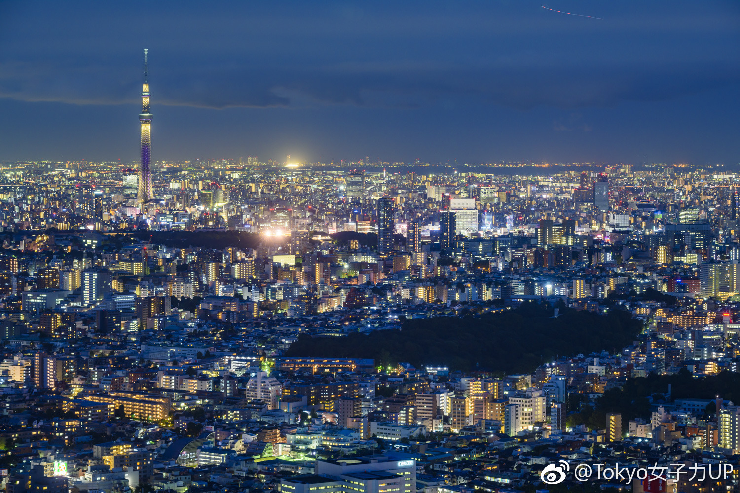 sky circus sunshine60展望台