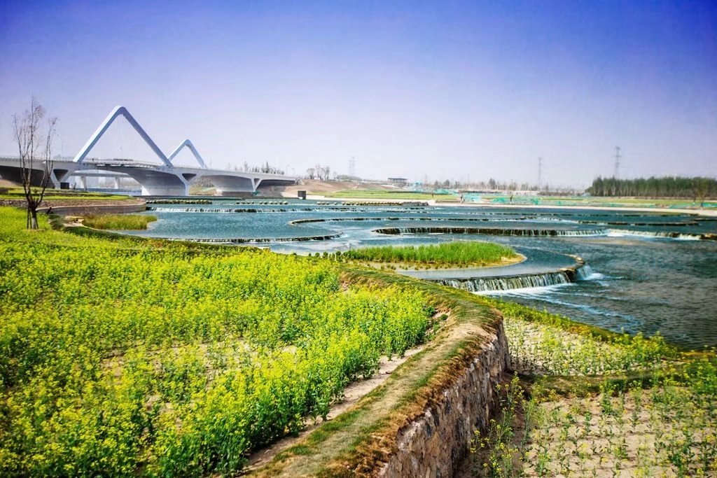 在沣河金湾,大v们就被眼前的景色震撼了:宽阔的水面上水光潋滟