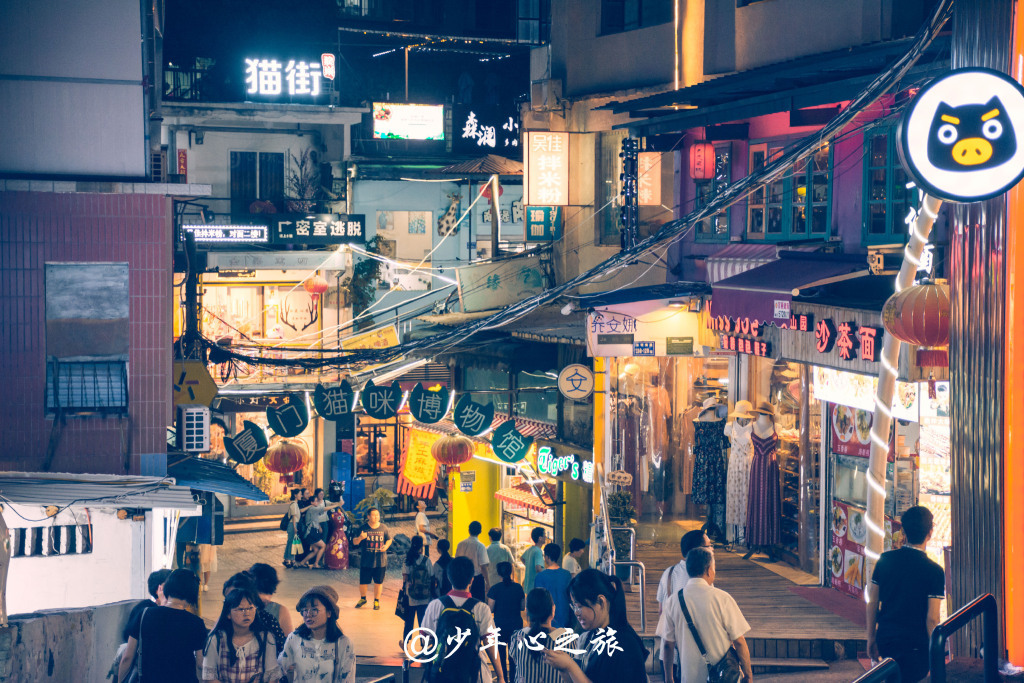 由老旧的顶澳仔路改造成猫咪文化街行走厦门顶澳仔猫街感受慵懒休