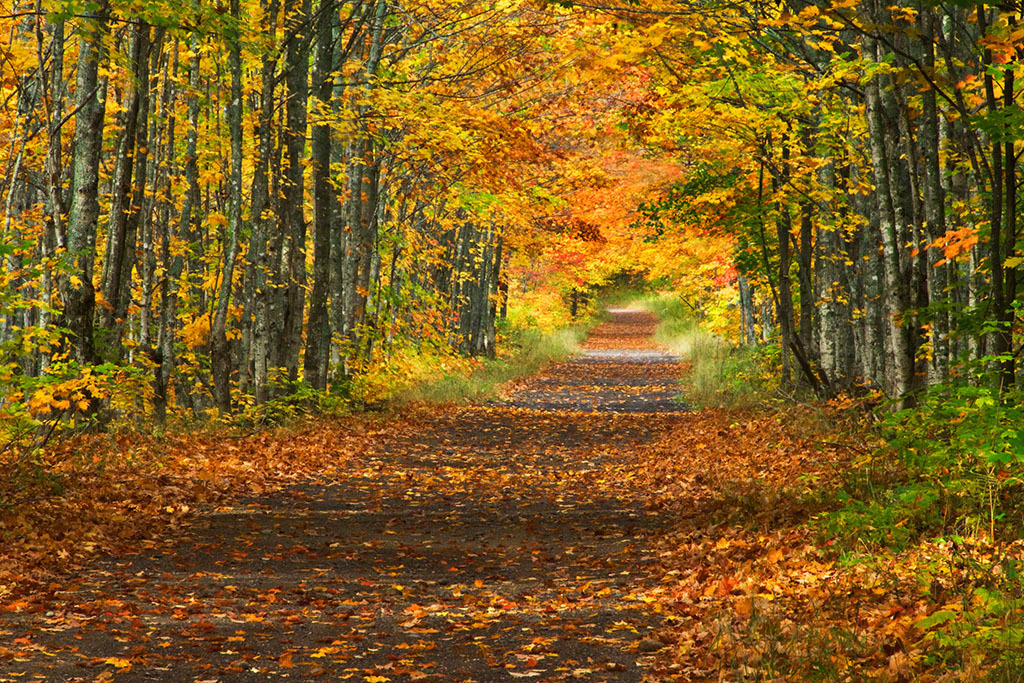 人生经历的路,不全是平坦大道,亦不全是崎岖坎坷.路虽然弯弯曲曲