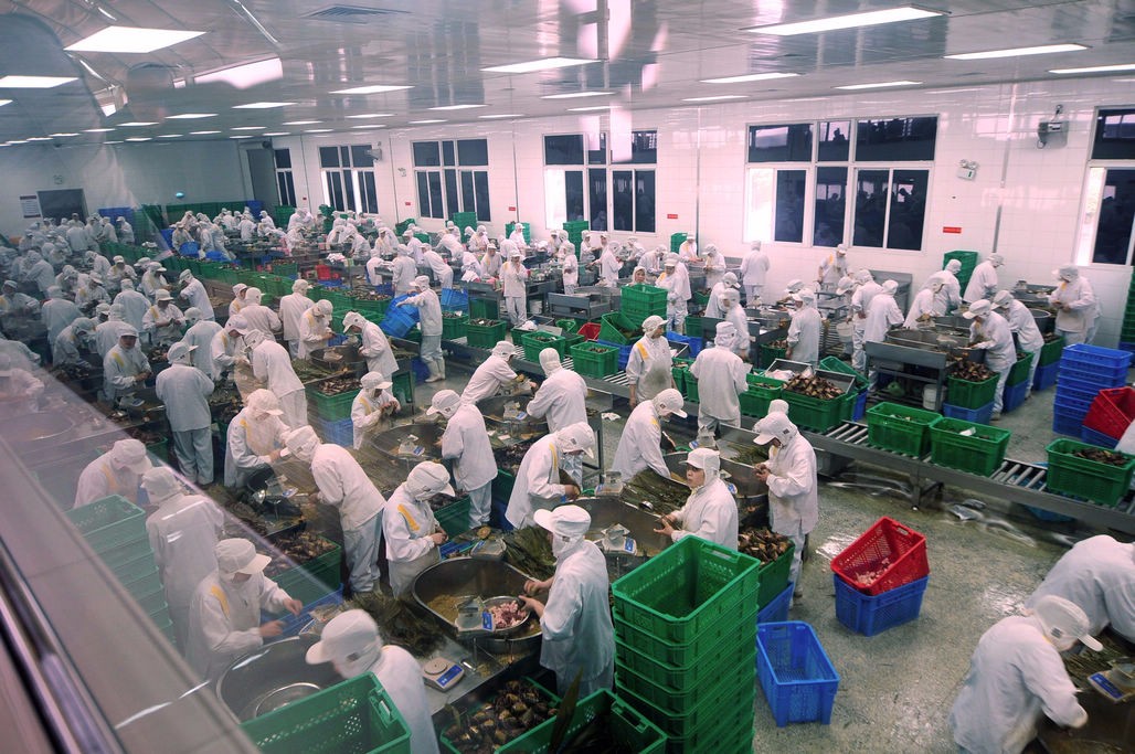 粽子馅很多种 但用海参和鲍鱼包粽子 真是少见 是不是青岛独有?