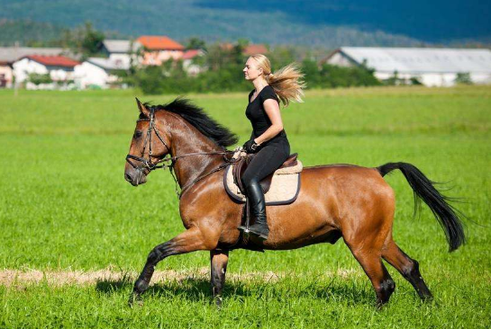 骑马的姿势一定要正确,下面美女你的姿势就很好~~可以换个马骑一下