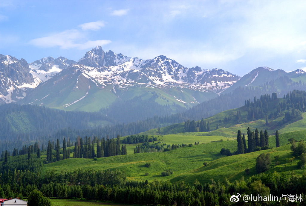 新疆伊犁州有一个美丽的地方,名叫恰西.这裏冰川隐约在云杉之中