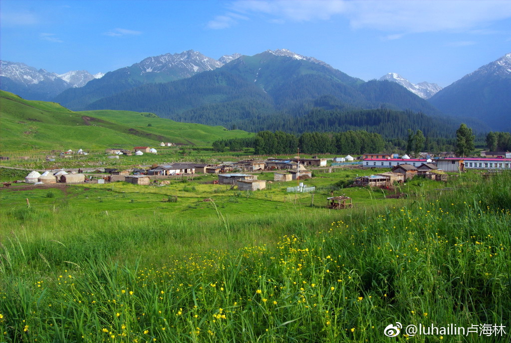 新疆伊犁州有一个美丽的地方,名叫恰西.这裏冰川隐约在云杉之中
