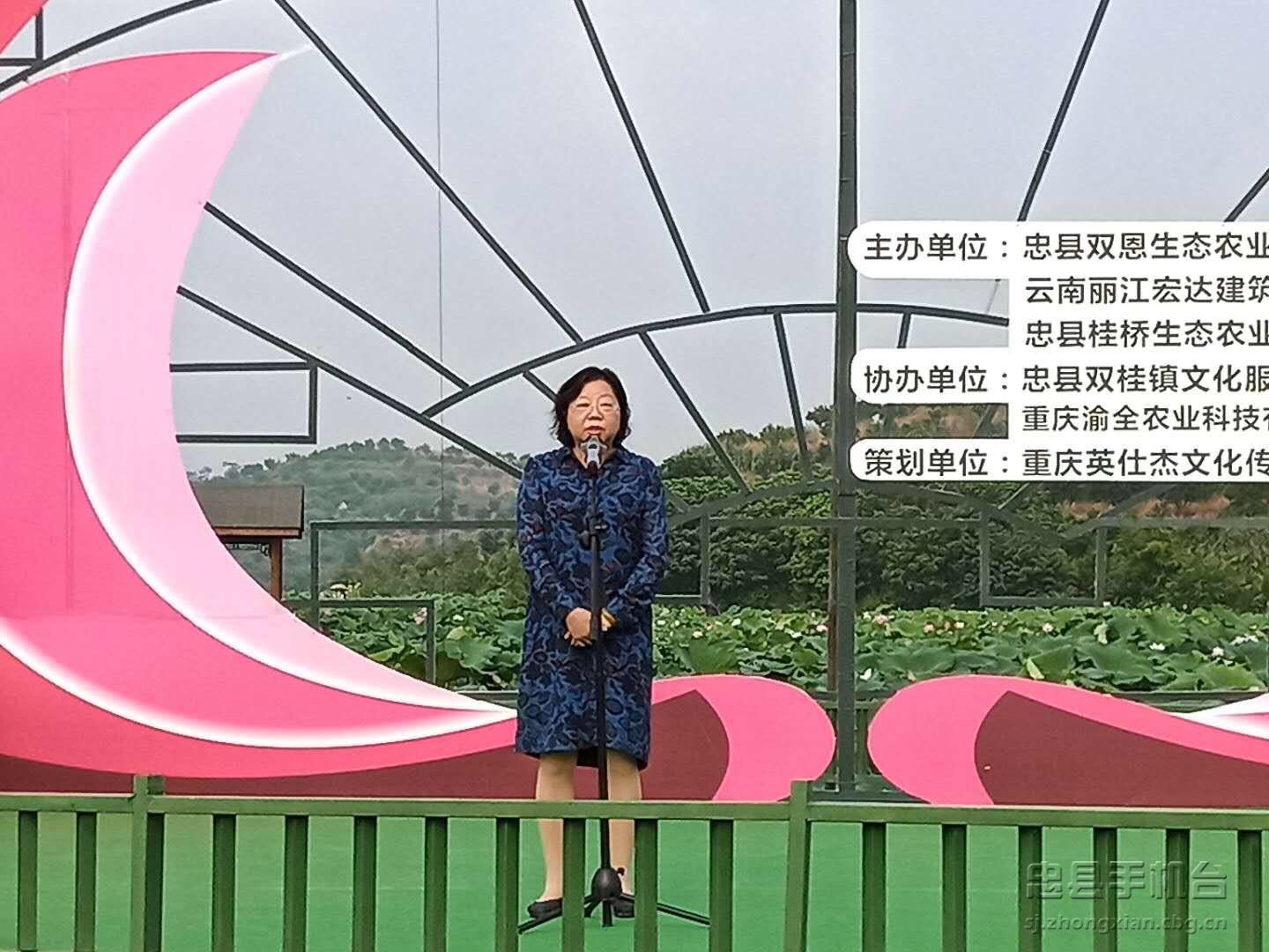 忠县双桂镇五千亩荷花怒放 28日葡萄采摘5日荷