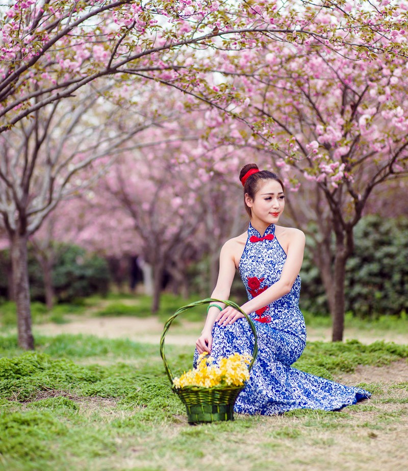 一个在樱花树下的美丽青花瓷裙装姑娘