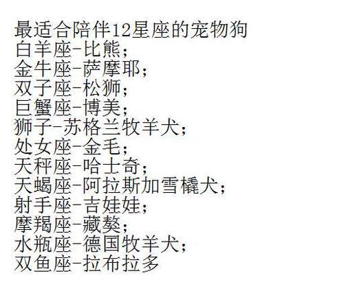 最适合陪伴十二星座的宠物狗,白羊座是比熊,金牛座是萨摩耶,双子座是