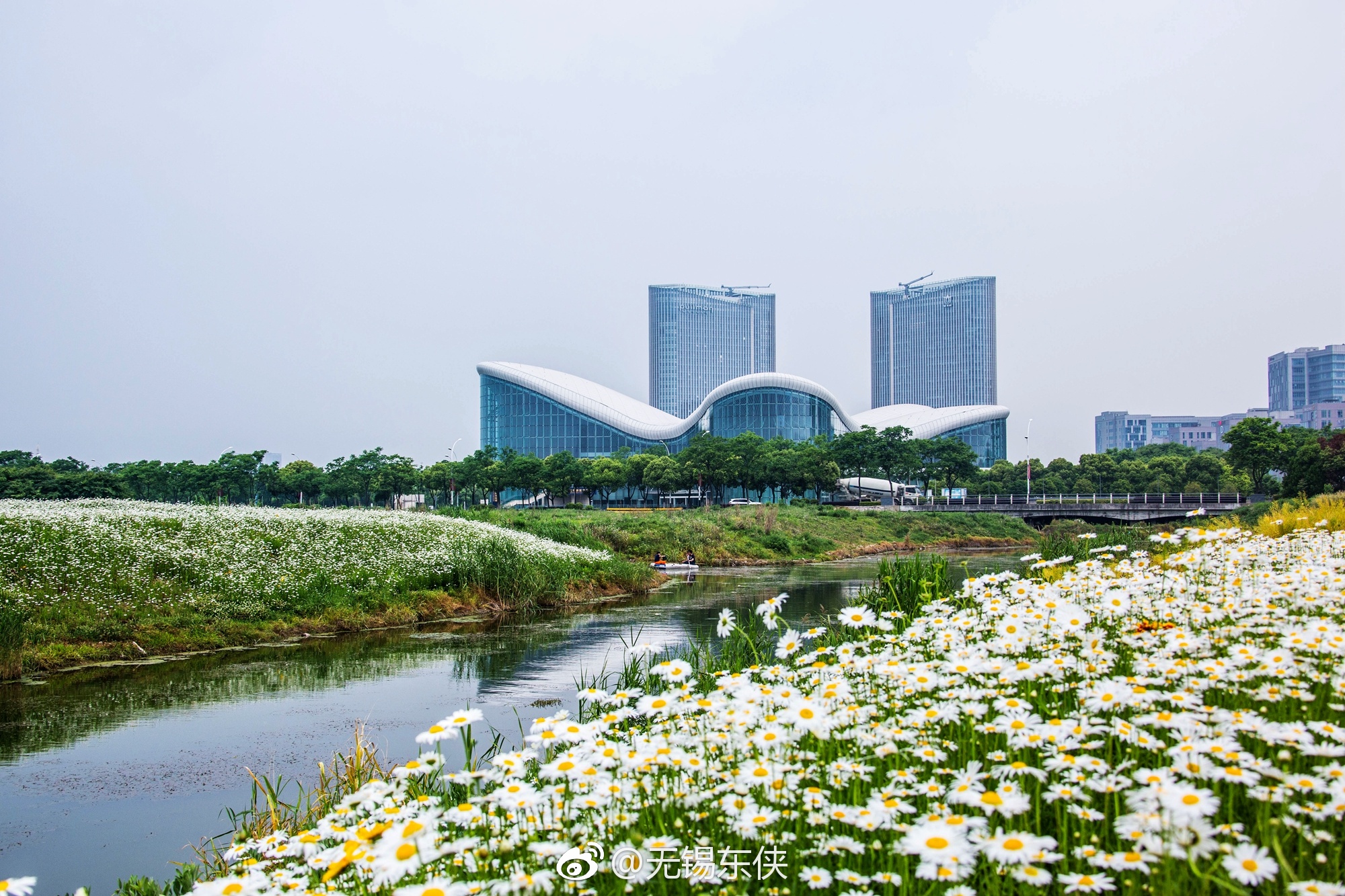 都说最美人间四月天四月是一场最美的遇见是一场花事的开始