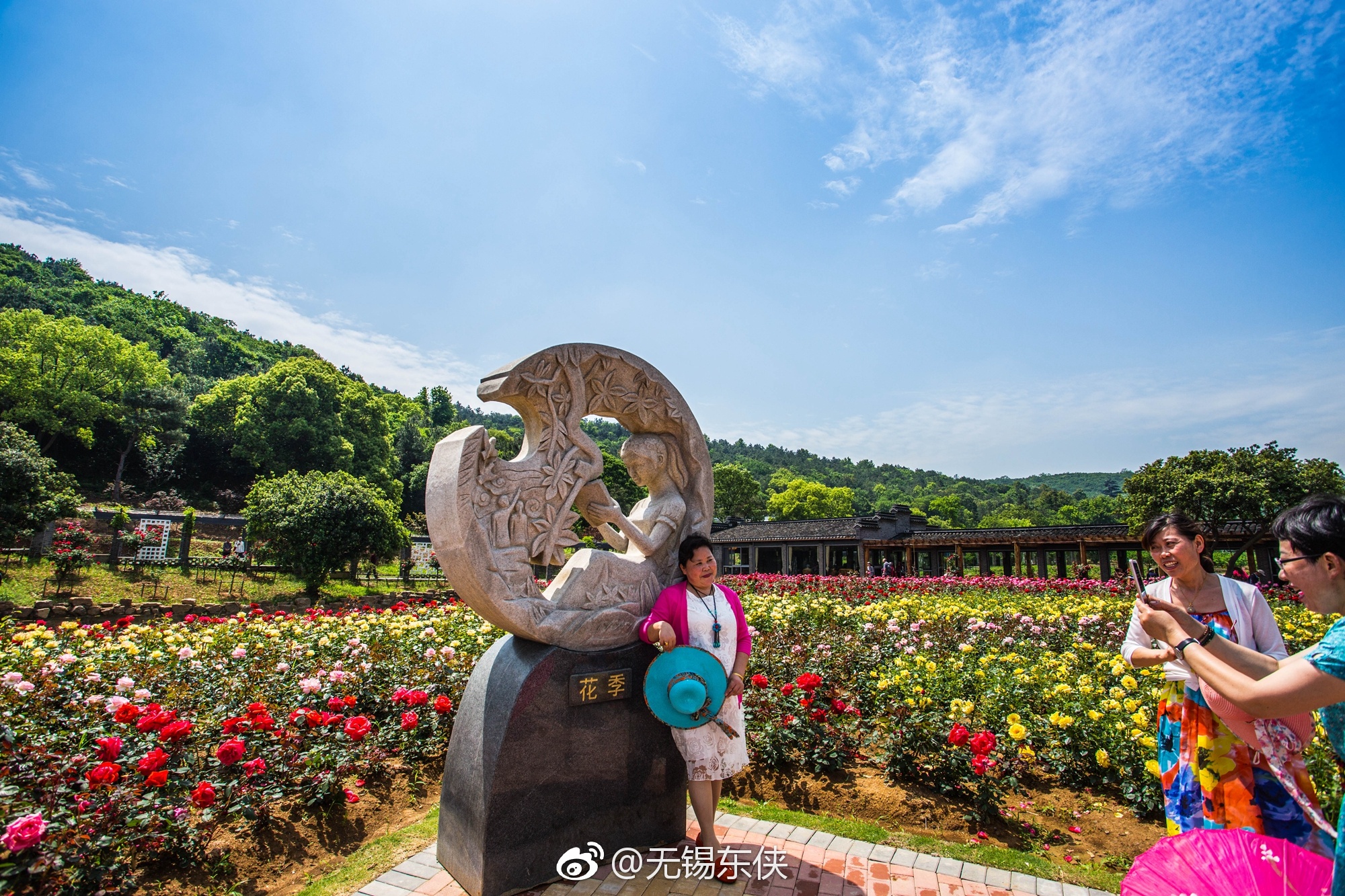 愛在濱湖,情定月季!無錫龍寺生態園大片大片的月季花中,遊人如織