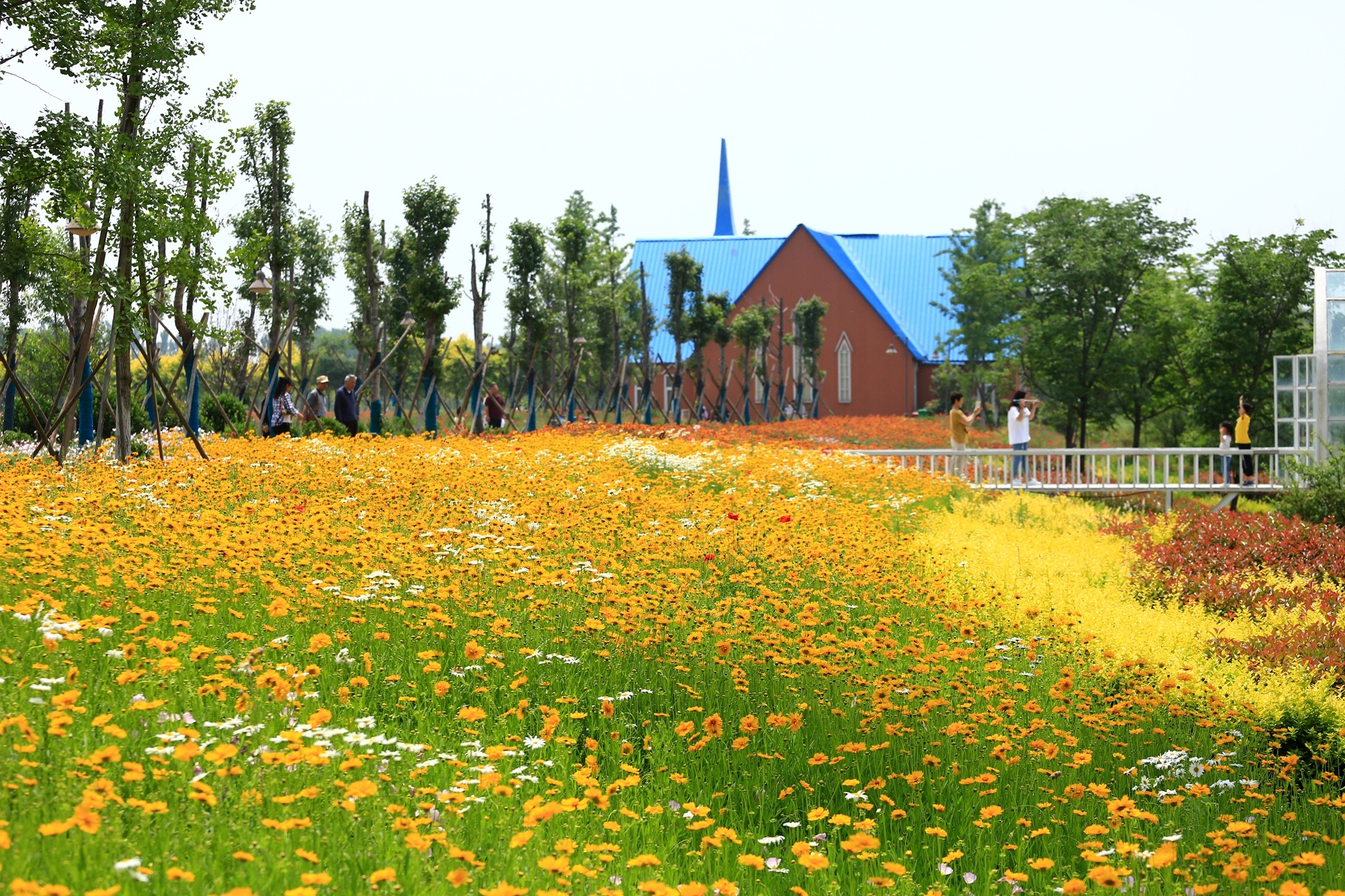 郑州近郊深藏一诗意花园 初夏时光百花齐放这里适合拍人像