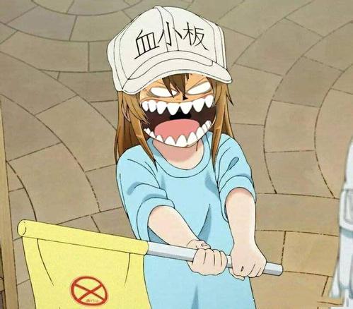 《海贼王》众主角血小板长啥样? 乔巴可爱, 其他能认出来算我输!