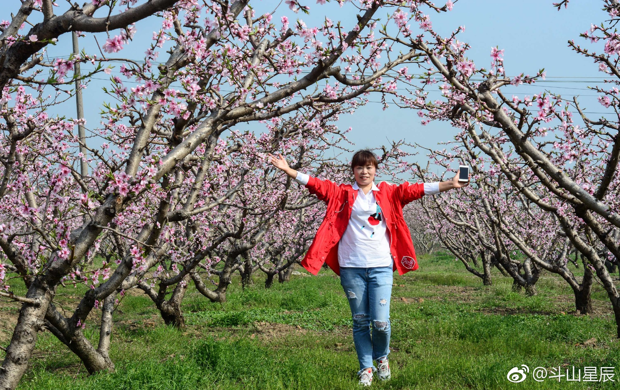 美丽桃花源