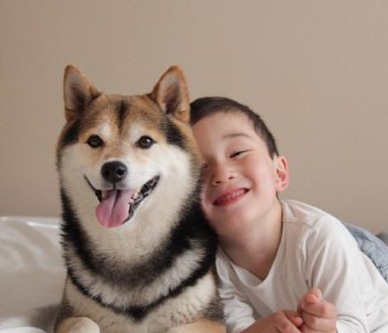 萌娃和柴犬套餐好有爱