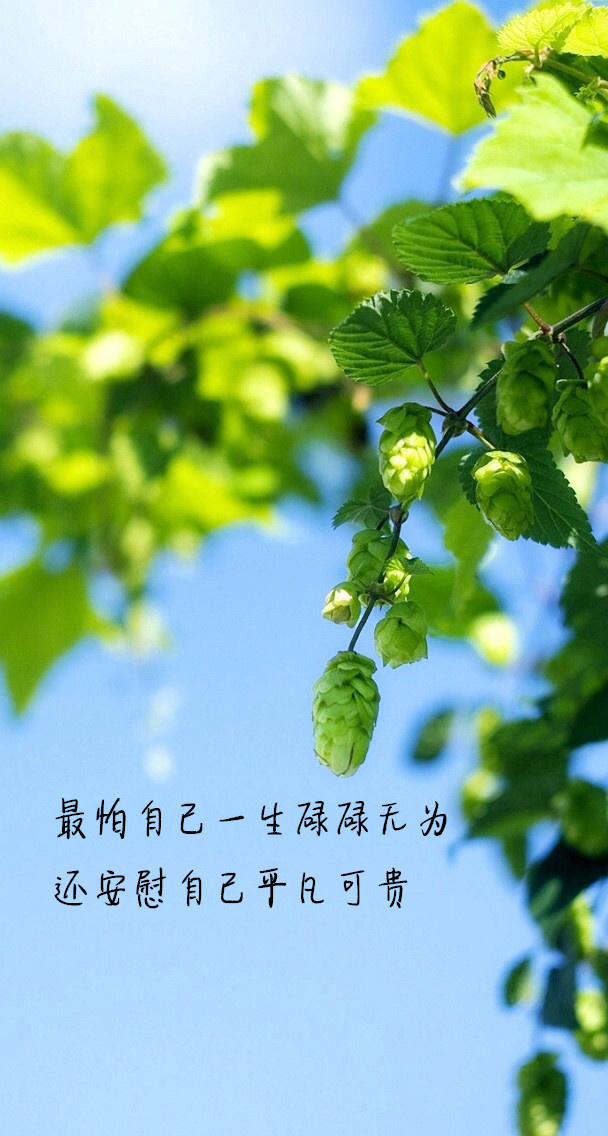 最怕自己一生碌碌无为还安慰自己平凡可贵