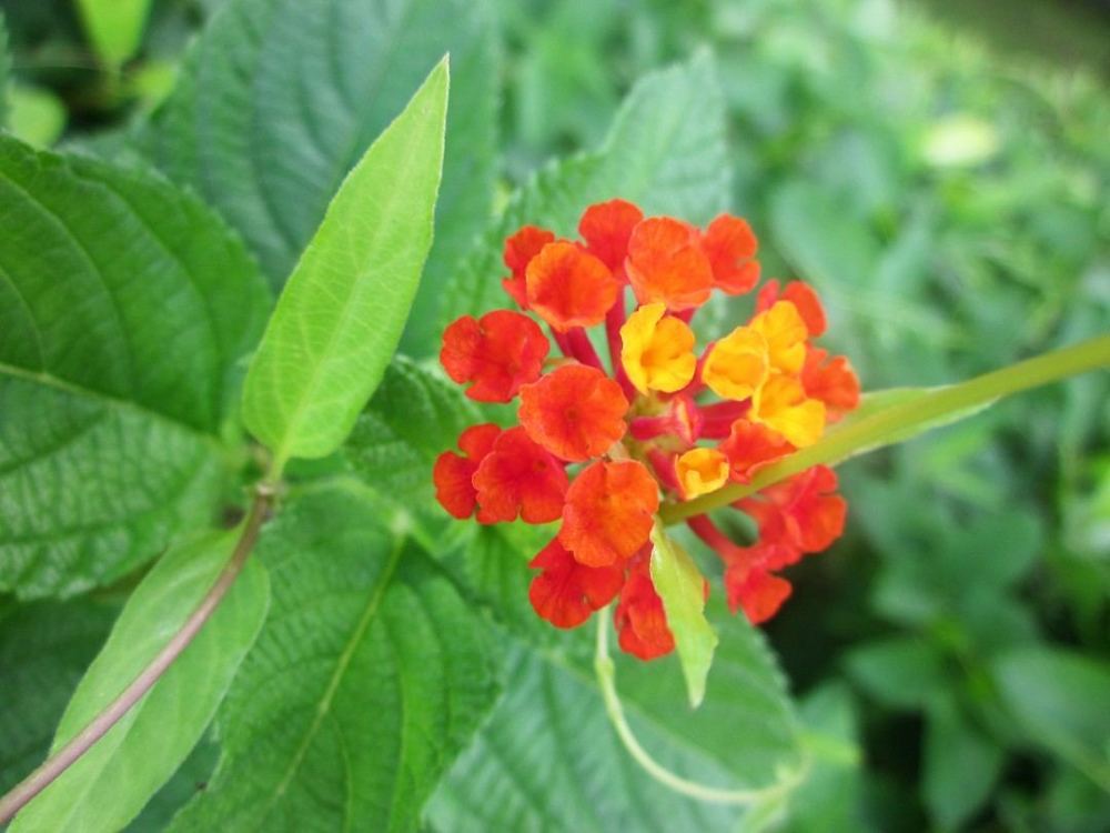 放不下要放下的,带不走要带走的|时光|情话|傻瓜_新浪新闻