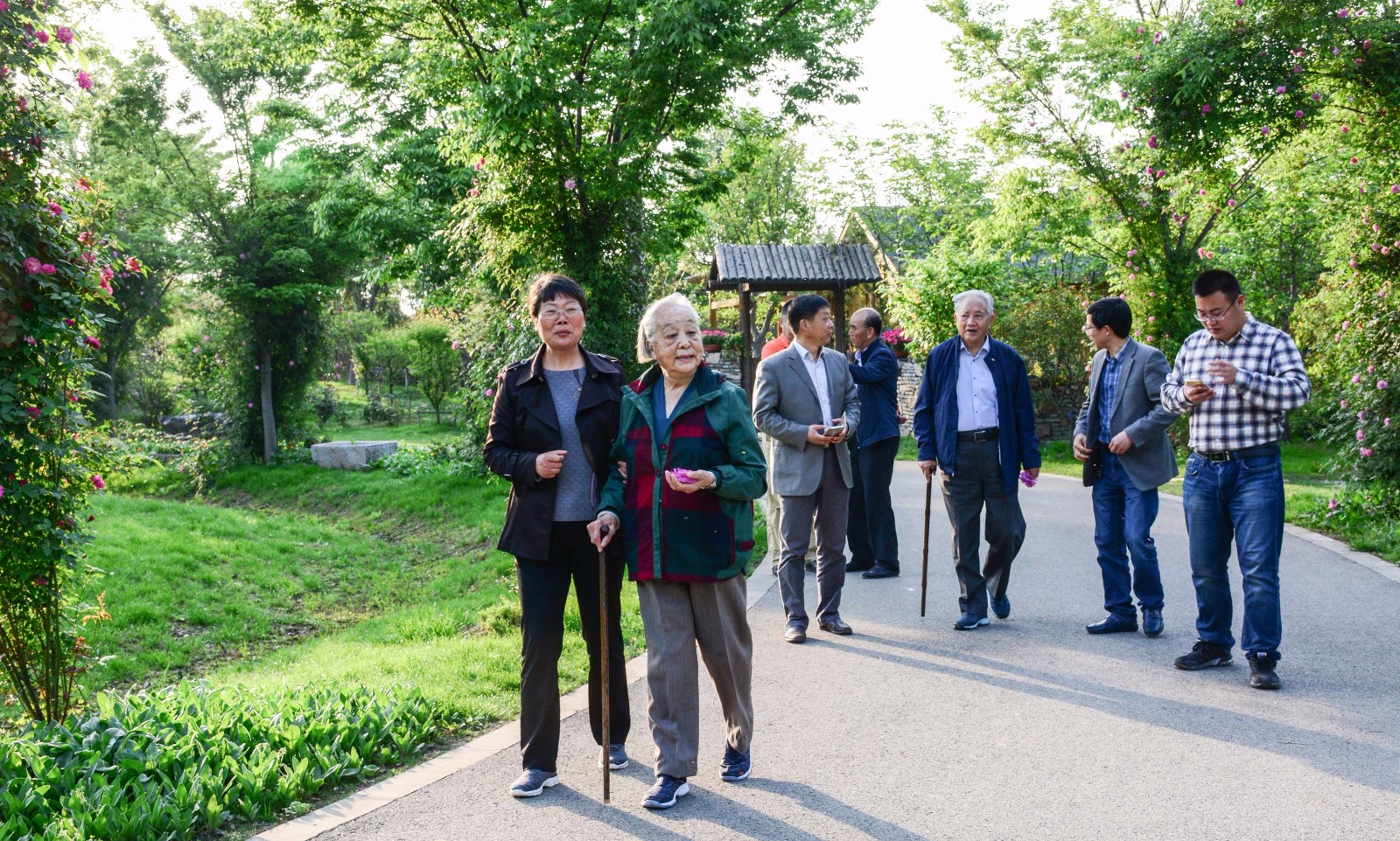 前中宣部部长王忍之参观鹅湖玫瑰园