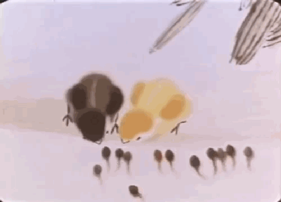 1961年出生名人盘点 当年国内外大事件回顾