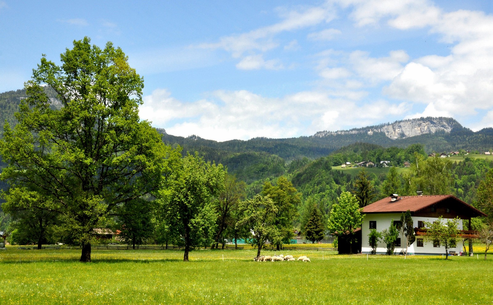 美丽的奥地利田园风光原创摄影