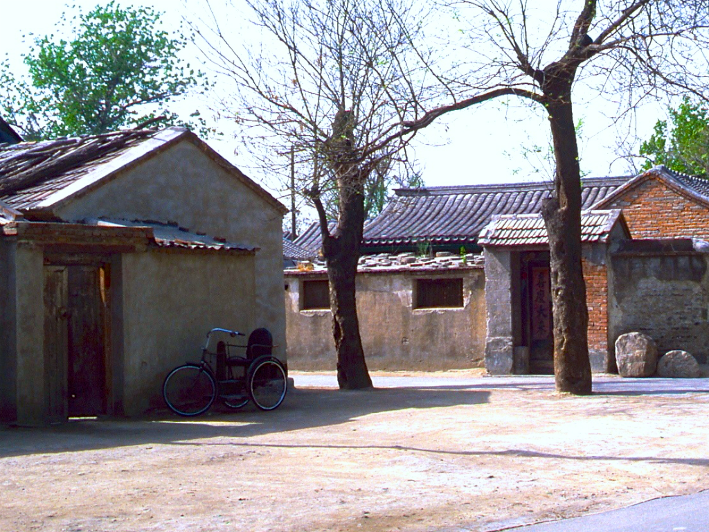 北京旧影1982年老槐树笼罩的房屋街道