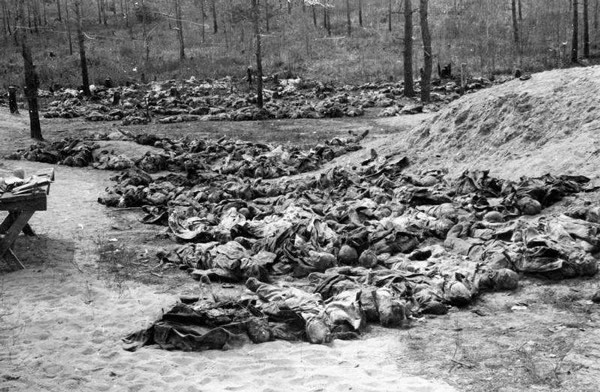 数万名波兰人被集体处决,纳粹德国,苏联:他干的!