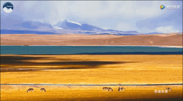 人们对它的无限向往,无数人企图进入高原腹地,揭开"无人区"的神秘面纱