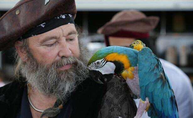 看过《金银岛》和《加勒比海盗》系列的小伙伴可能都会好奇的问一句