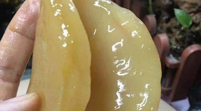 老醋坛里长出奇怪"大蛾子",有钱都买不到,想吃全凭运气