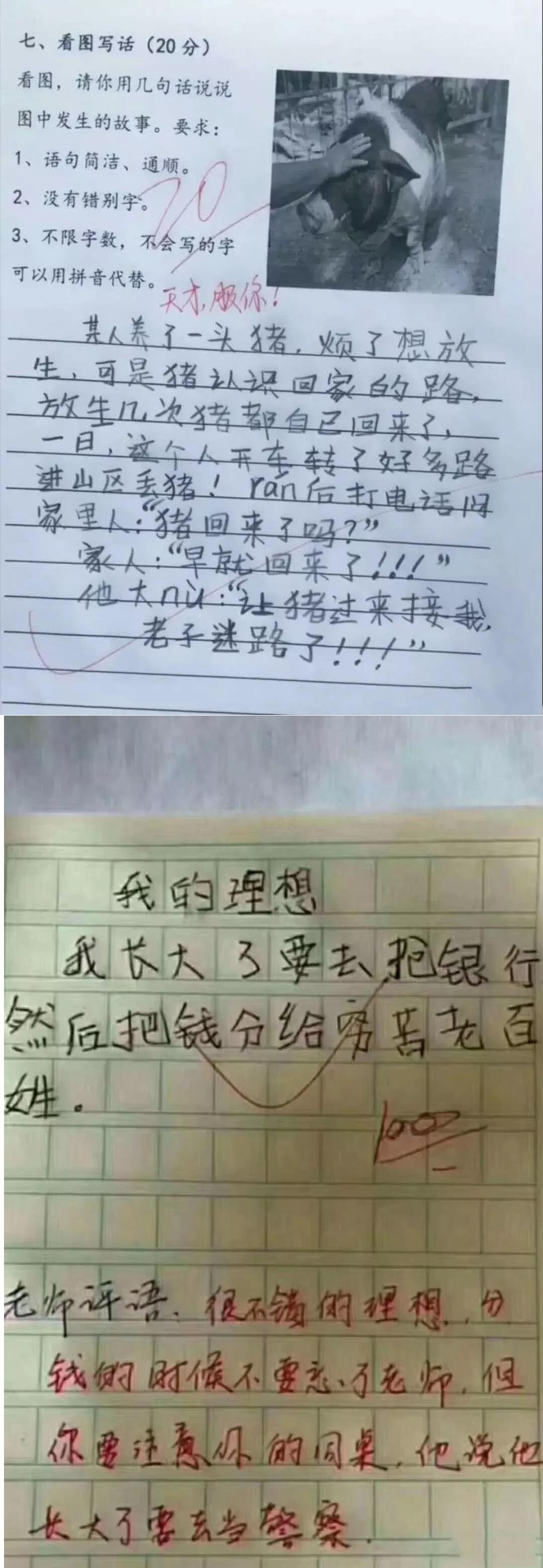小学生爆笑作文走红网络这都是些什么神仙脑洞