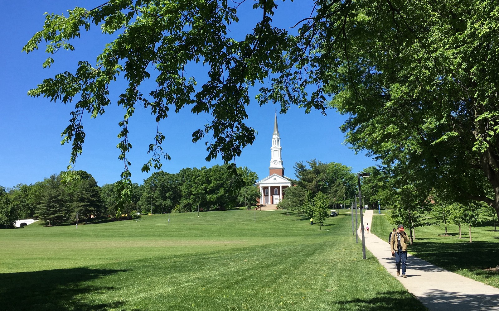 马里兰大学随拍【原创摄影】