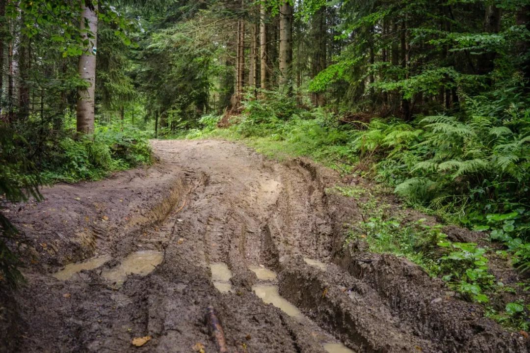 心理测试:选一条难走的路,测你的爱情路为什么不顺利
