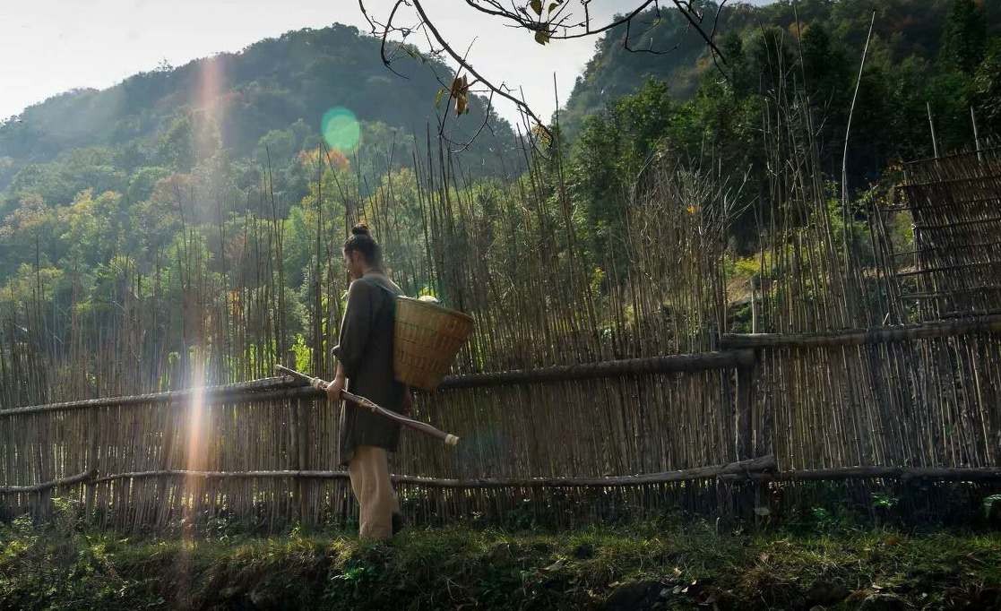 男子隐居深山8年 与女弟子结婚生俩娃 下棋喝茶抚琴日子逍遥