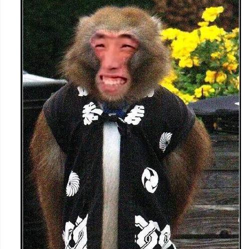 50万人出钱看旭旭宝宝直播粉丝为庆祝这一刻p了个大马猴