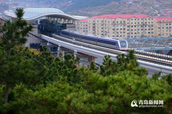 镜头记录青岛11号线 这条开往春天的地铁到底有多美