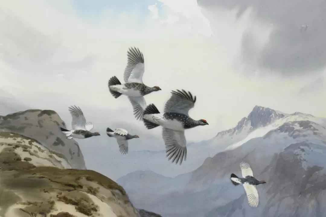 年以后成为董事长