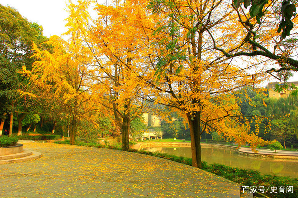 2018中国文科大学排名出炉!第10名谁也想不到