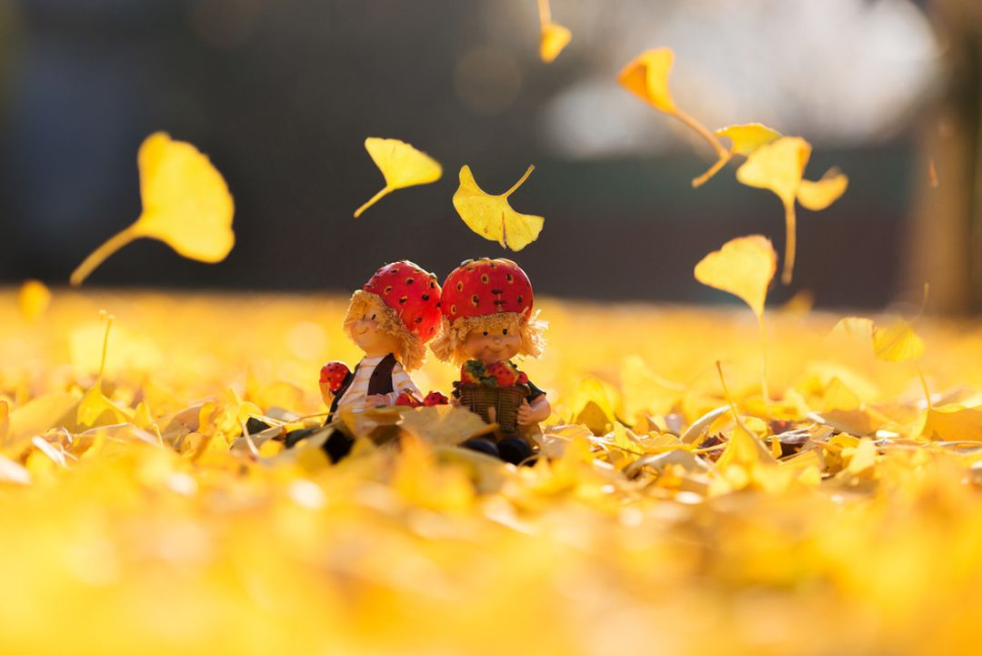 陪伴是治疗抑郁的良药