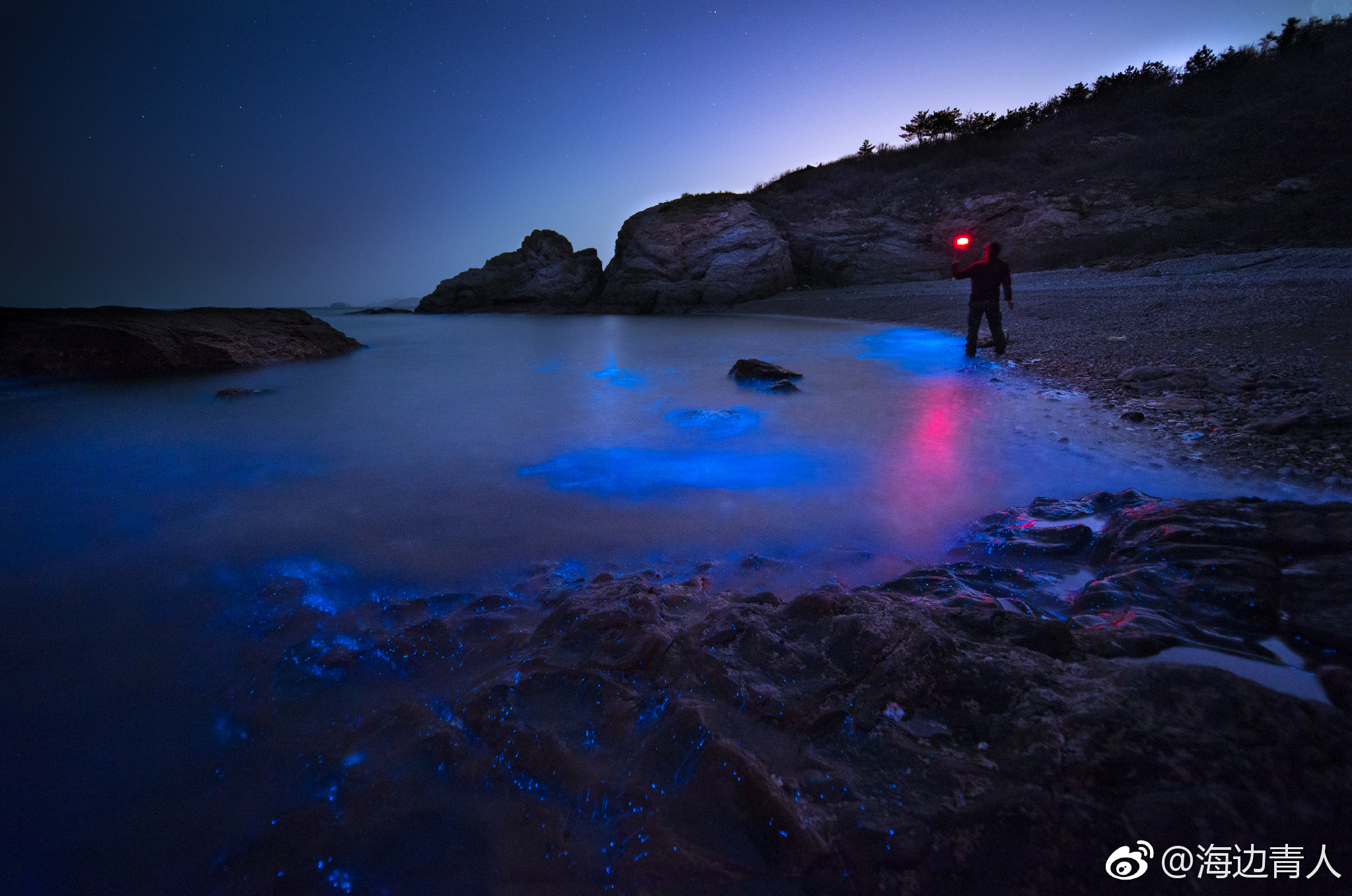 《幻蓝夜海》 近午夜时分，梦幻荧光随此起彼伏的海浪奔涌而出|幻蓝夜海|荧光|海浪|时分|梦幻_新浪新闻